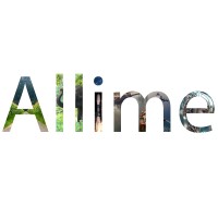 Allime Tech Solutions logo