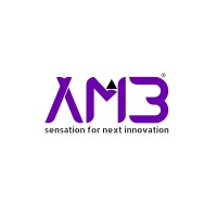 The AM3 Global Singapore/USA logo