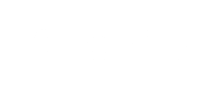 Chip logo
