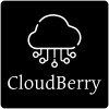 CloudBerry logo