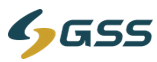 GSSTech Group logo
