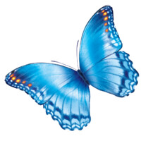 Nationwidechildrens logo