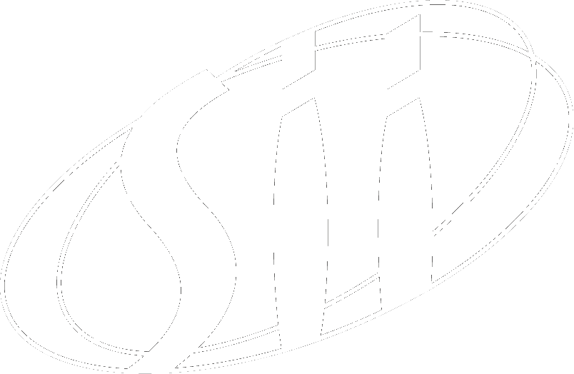 SII Group Germany logo