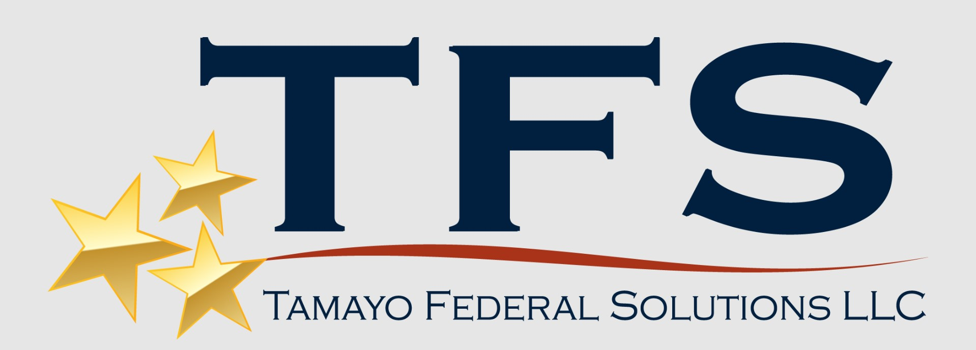 Tamayo Federal Solutions LLC logo