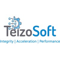 TeizoSoft Private Limited logo