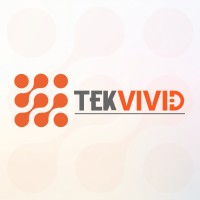TekVivid, Inc logo