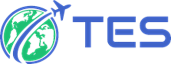 TURBINE ENGINE SPECIALISTS INC logo